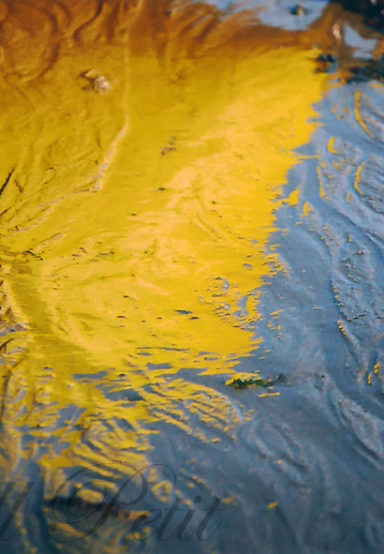 Karoll Petit - Reflet