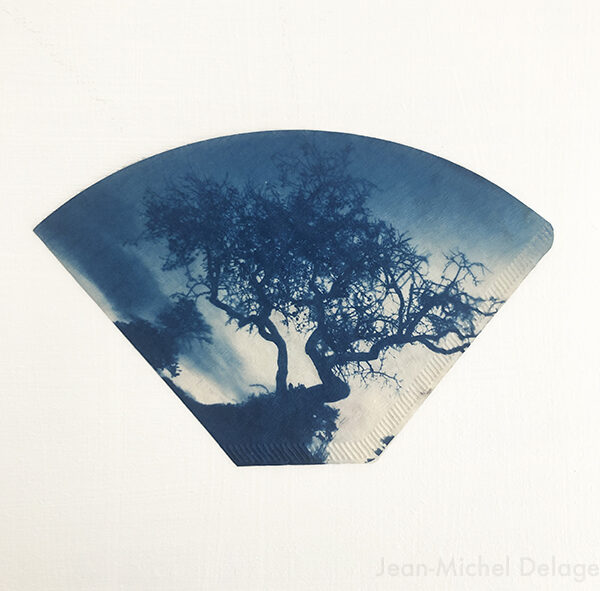 Jean Michel DELAGE - N°63 - Cyanotype sur filtre à café - 12,5x19cm - 50€