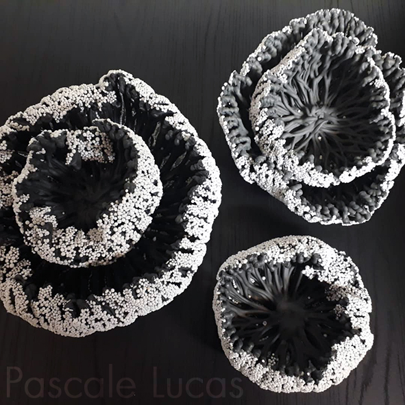 Collection Filaments - Simple, 60€ - Double, 80€ - Porcelaine