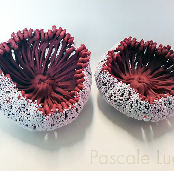 Collection Filaments - Porcelaine - 60€