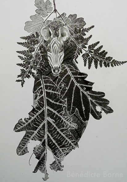 Bénédicte BORNE - Chimère végétale 6 - Empreintes de feuilles sous presse et dessin au crayon - 14,8 x 21cm - 72€