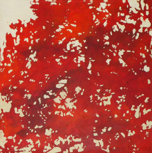 Dans les arbres - 50x50cm - 9€/mois - 450 €