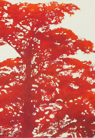 Anne Moréa - Maître des lieux