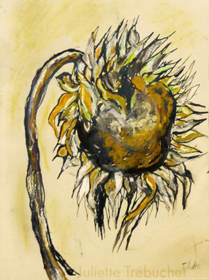 Autour du Tournesol, hommage à Kieffer VII - 43x52cm - 10€/mois - 350 €