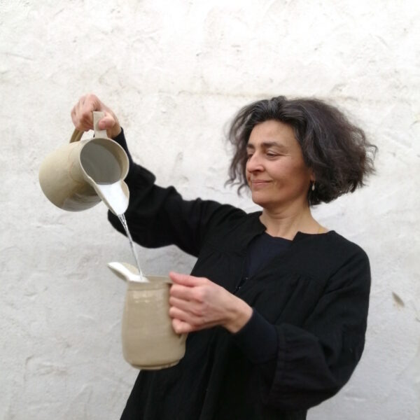 Stéphanie Beaudouin-Goujon