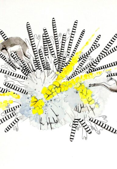 Alix de Bourmont - Antilopes