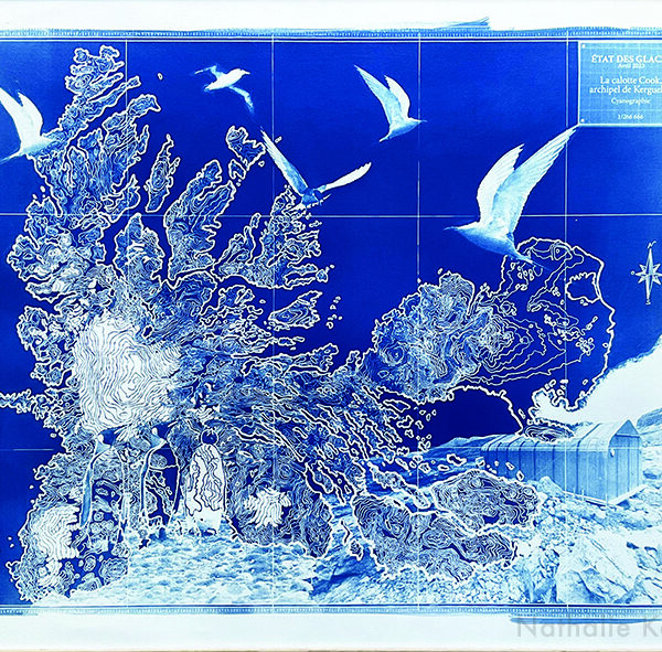 Nathalie Kopp - La calotte Cook, archipel des Kerguelen - Cyanotype, dessin/photo, encradré verre musée - 54x66cm - 2022 - 1000€