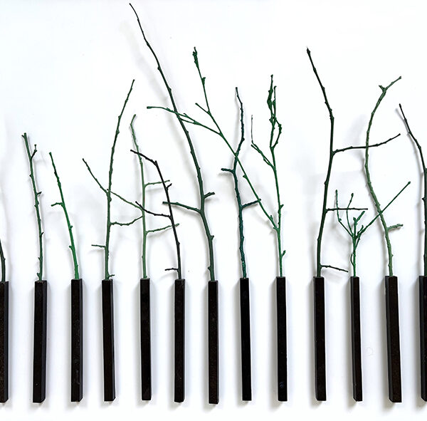 Jean Jacques PIGEON - Sculpture bois:bois SERIE N01 