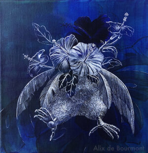 Alix de Bourmont - Kiwiscus