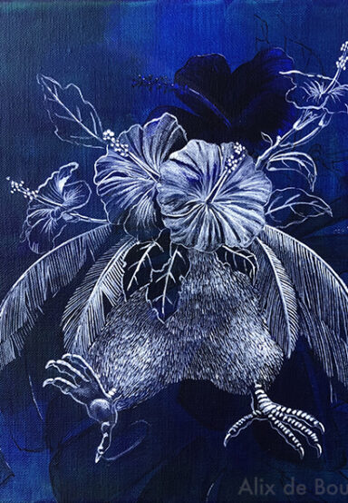 Alix de Bourmont - Kiwiscus