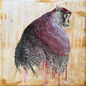 Patas - 30x30cm - 10&euro;/mois - 250&nbsp;&euro;