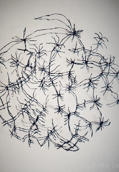 LN - Songe d'une nuit d'été