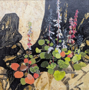 Nombrils de V&eacute;nus - 61cmx61cm - 14/mois - 700&nbsp;&euro;