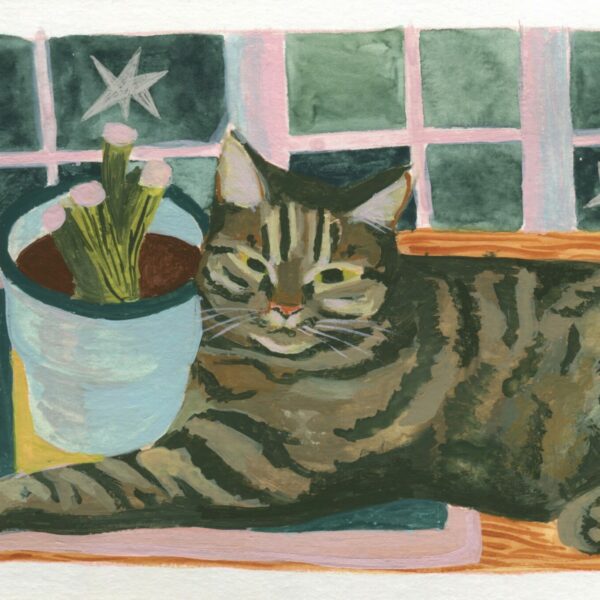 Grincheuse - Chat - Gouache et aquarelle