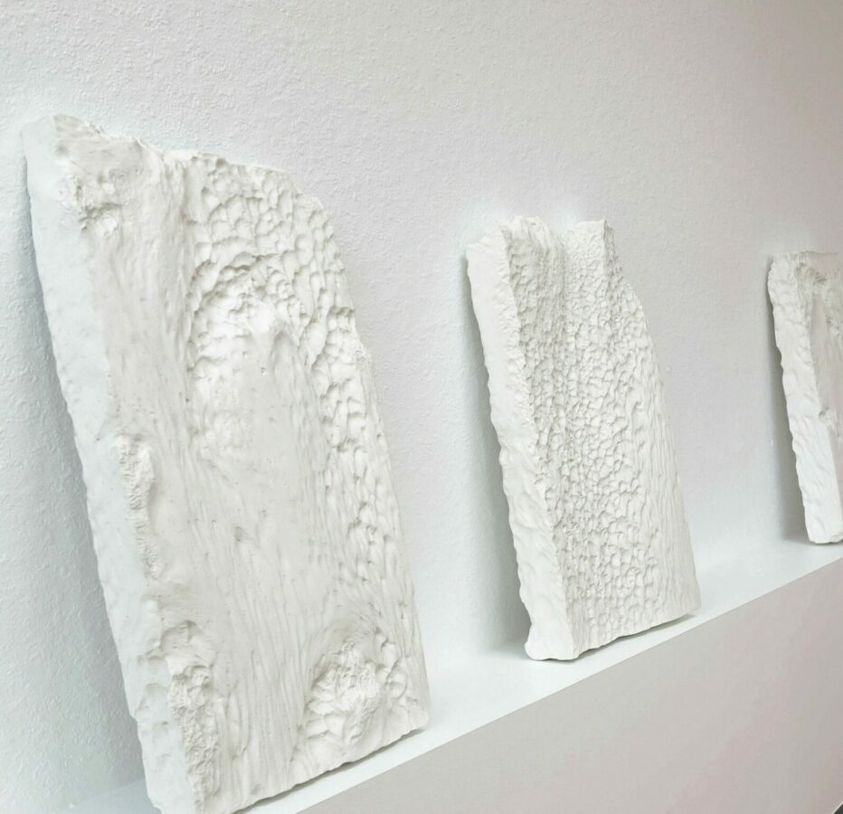 Vernissage d'une double exposition